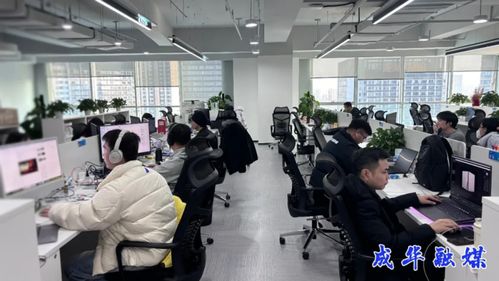 出海升級，攻堅克難 成都成華科技企業開啟2026沖刺模式